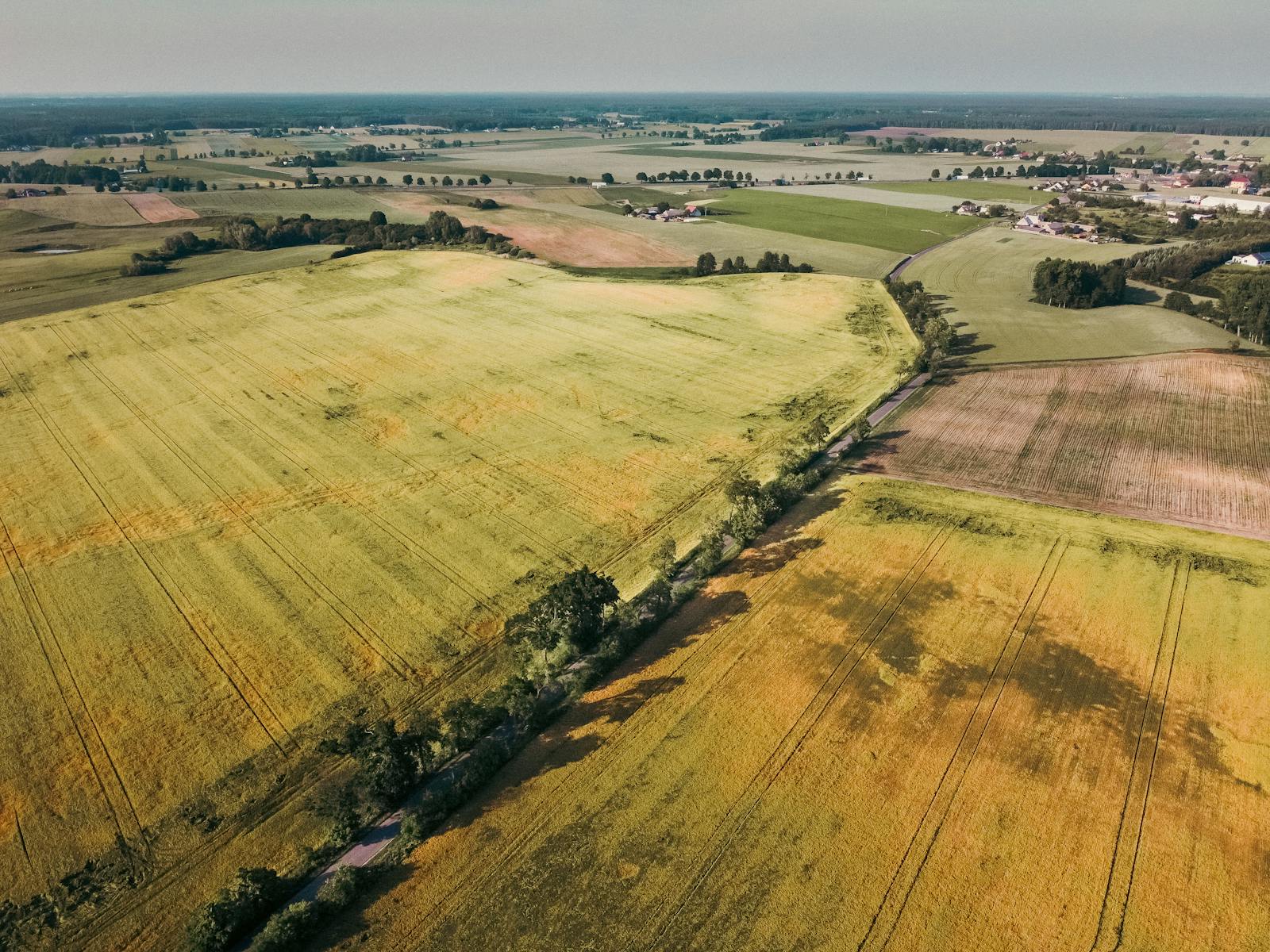 Widok z drona na polskie pola i działki rolne